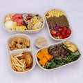 100% Compostable Waterproof Oilproof Paper Food Containers with Embossing 800ml Disposable Oval Lunch Box for Sushi & Noodle