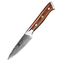 XINZUO Professional Sharp Damascus Steel Paring Knife 3.5 Inch Desert Ironwood Handle Fruit Peeling