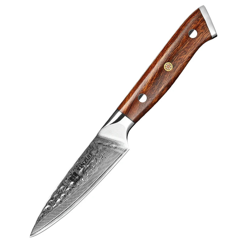 XINZUO Professional Sharp Damascus Steel Paring Knife 3.5 Inch Desert Ironwood Handle Fruit Peeling