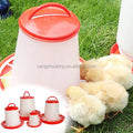 ZZ 1L Factory Supply Poultry Feeding Drinker 1KG Plastic Animal Chicken Feeder