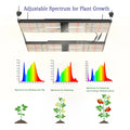 Grow Room Control Bavagreen 480w Pro Sunlike Full Spectrum Lm301h Uv Ir 730nm Far Red Indoor Grow Light