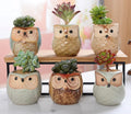 Modern Japanese and Korean Owl Flowerpot Design Mini Thumb Ceramic Succulent Pot for Anniversary Decorative Owl Set
