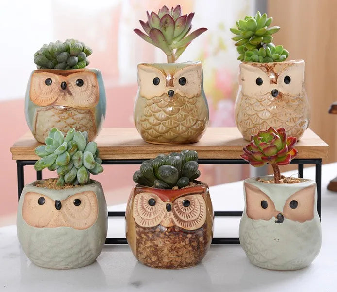 Modern Japanese and Korean Owl Flowerpot Design Mini Thumb Ceramic Succulent Pot for Anniversary Decorative Owl Set
