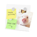 White Iron Memo Board Office Stainless Steel Magnetic Whiteboard Magnet Metal Color