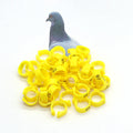 Wholesale Plastic Open Bird Ring Open Canaries Leg Rings Pigeon Foot Band With Numbers for Canaries Live Birds for Sale