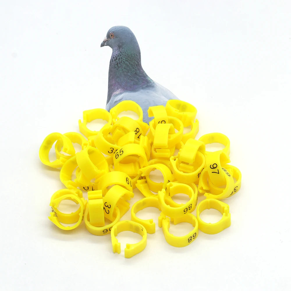 Wholesale Plastic Open Bird Ring Open Canaries Leg Rings Pigeon Foot Band With Numbers for Canaries Live Birds for Sale
