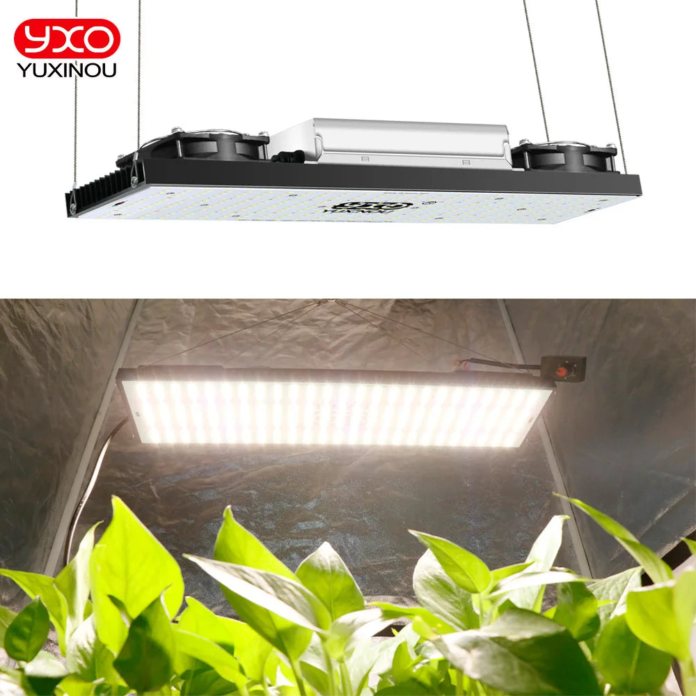High PPFD Full Spectrum Plant 200watt LED Grow Light Uv Ir Lm282b Lm301h LED Grow Lights