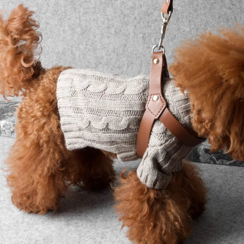 Leather Harness Shoulder Leash Hands Free Dog Leash Multifunctional Dog Training Leash