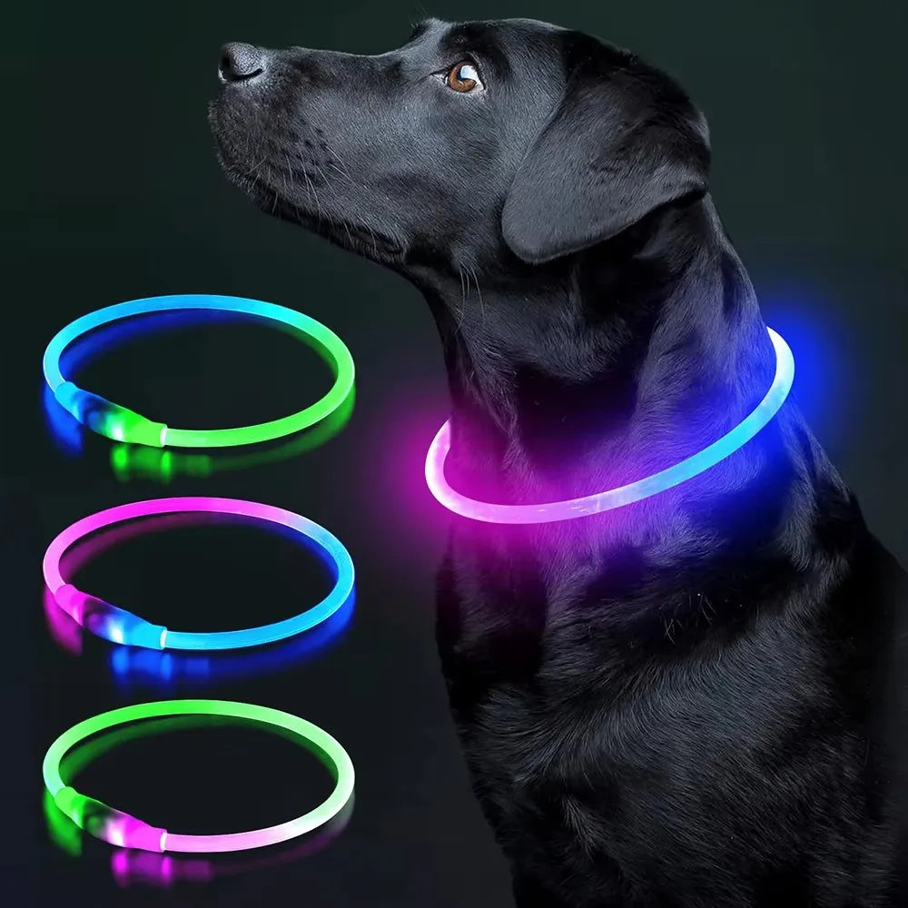 LED Lights Glowing Dog Collar TPU Luminous Adjustable Waterproof USB Rechargeable Anti-Lost Night Safety Pet Collar