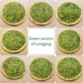 LT05 Chinese Famous Early Spring Tea Xihu Longjing Green Tea Healthy Dragon Well Green Tea