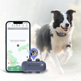 4G LTE GPS Pet Tracker with Multi Smart Mode Geo-Fencing Alarm for Cat Dog Hunting Equipped Beidou Glonass Lbs Positioning Modes
