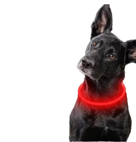 2025 New Design Glowing LED USB Rechargeable Pet Dog Necklace Light Collar Multicolor  Light up Flashing Pet Cat Dog LED Collar