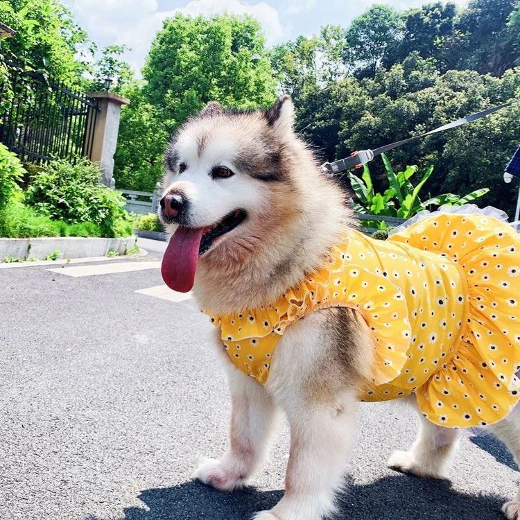 Wholesale S~6XL Summer Large Breed Pet Dog Dress