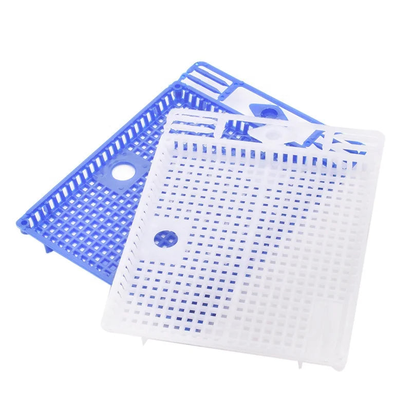 1PCS Queen Cage with Spleen Buckle Can Prevent the King From Escaping Control the King's Cover Prevent Biting