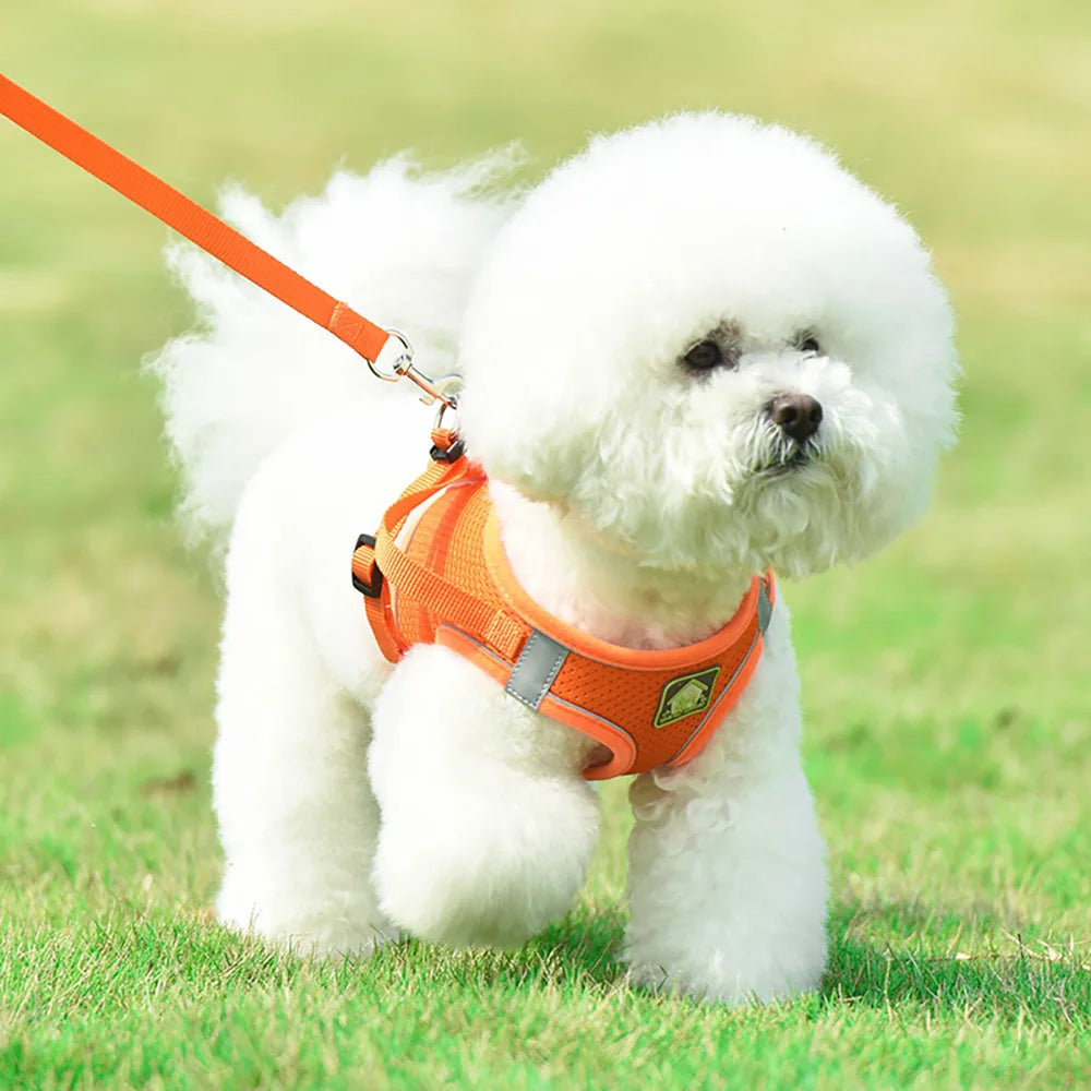 New  Breathable Mesh Pet Harness Vest Style Dog Traction Rope Reflective Dog Rope Pet Products Wholesale