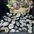 Wholesale Hot Sale  Fengshui Natural  Handmade Craft Polished Agate Small Geode   for Gift