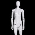 FM01WEG Wholesale Full Body Fiberglass Female Movable Mannequin Robot Mannequin