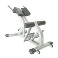 Roman Chair Back Extension Bench Multi Functional Ab Hyperextension Abdominal Exercise Waist Extension Workout