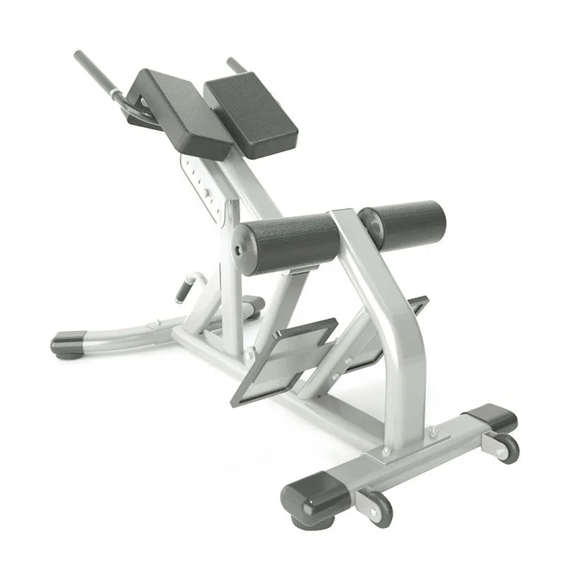 Roman Chair Back Extension Bench Multi Functional Ab Hyperextension Abdominal Exercise Waist Extension Workout