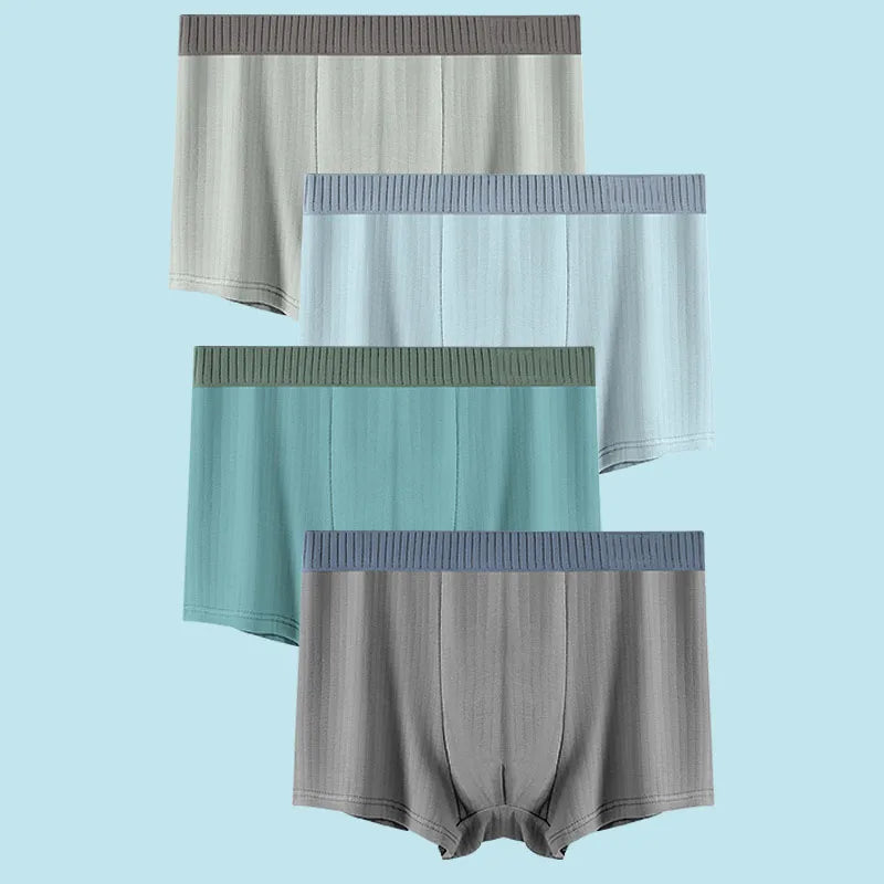 4 Pack Men's Boxer Briefs with Box Customizable Underwear Set for Men