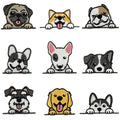 Custom Iron-On Embroidery Cute Various Dog Pet Patch for Kids