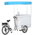 OEM Fashion Freezer Fridge Cargo Bike Cart for Ice Cream Delivery Electric Pedal Cold Drinks Juice Coffee Refrigerated Bicycles