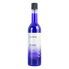 Purple Color No Yellow Ash Silver Custom Silver Shampoo Private Label Hair Color Shampoo for Blonde Hair