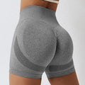 Fashion Seamless Women Gym Workout Shorts Custom logo Summer Scrunch Butt Shorts for Women