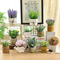 American Rural Simulation Plant Small Bonsai Set Flower Artifact Decoration Ceramic Basin Flower Garland Ceramic Vases Decor