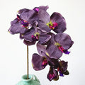 Hot Sell Real Touch Black Purple Artificial Latex Butterfly Orchids Flower Silk Cloth Film Orchid for Wedding Party Home Decor