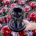 Enchanted Long Lasting Black Flower Perfect Gift Beauty and the Beast Real Forever Preserved Eternal Rose in Glass Dome
