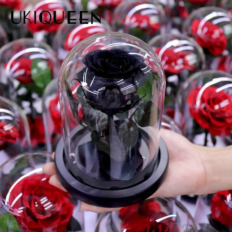 Enchanted Long Lasting Black Flower Perfect Gift Beauty and the Beast Real Forever Preserved Eternal Rose in Glass Dome