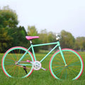 OEM Color Single Gear Fixie Bike 700c Fixed Bicycle for Philippines