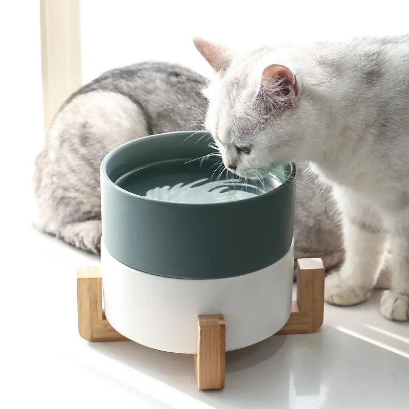 Manufacturer Wholesale Ceramic Multi Colors Pet Cat Dog Bowl with Wooden Frame