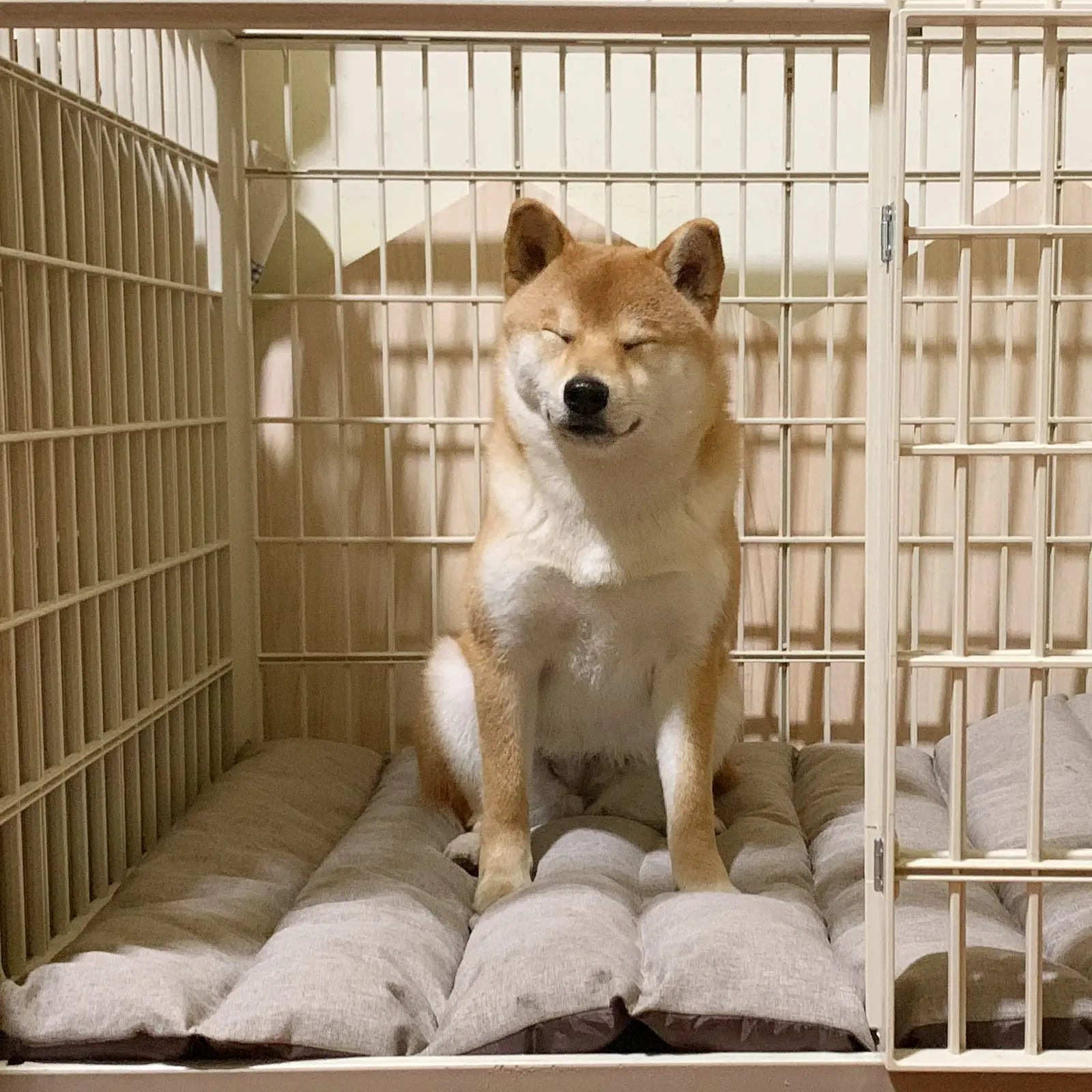 Summer Portable Cooling Dog Crate Kennel Mat Cute Style Waterproof Travel Pet Cage for Dogs