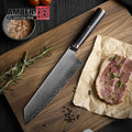 Amber 9 Inch Aogami Steel High Carbon Steel Vg10 Japanese Kitchen Chef Knife with G10 Handle