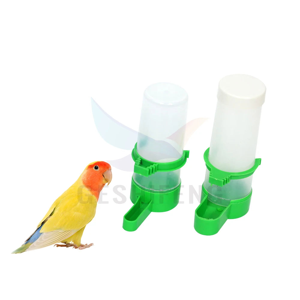 Feeding and Water Dual Use PP Bird Pigeon Food Feeder Water Drinker for Birds Parrot