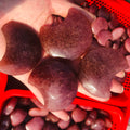 Bulk Natural Wholesale Crystal Red Strawberry Quartz Moon Shape Reiki Chakra Quartz Moon Shape Folk Crafts for Souvenirs