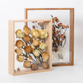 Double Glass Picture Frame Display Photo Wooden Dried Flower Photo Frame Display Stand Decorative Floating Photo Frame