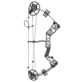 Compound Bow Ready to Shoot the Bow