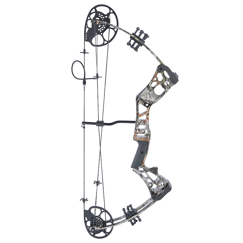 Compound Bow Ready to Shoot the Bow