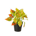 Table Decorative Artificial Plant Yellow Leaf Bonsai Plant Faux Tree Indoor Decoration 22cm