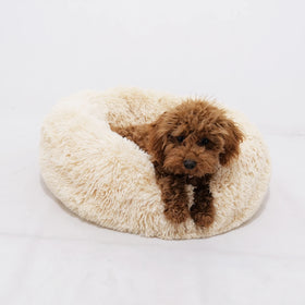 Yangyangpet Soft Warming Plush Fabric Dog Pet Bed Cheap Wholesale Donut Bed with Solid Pattern Calming for Dogs