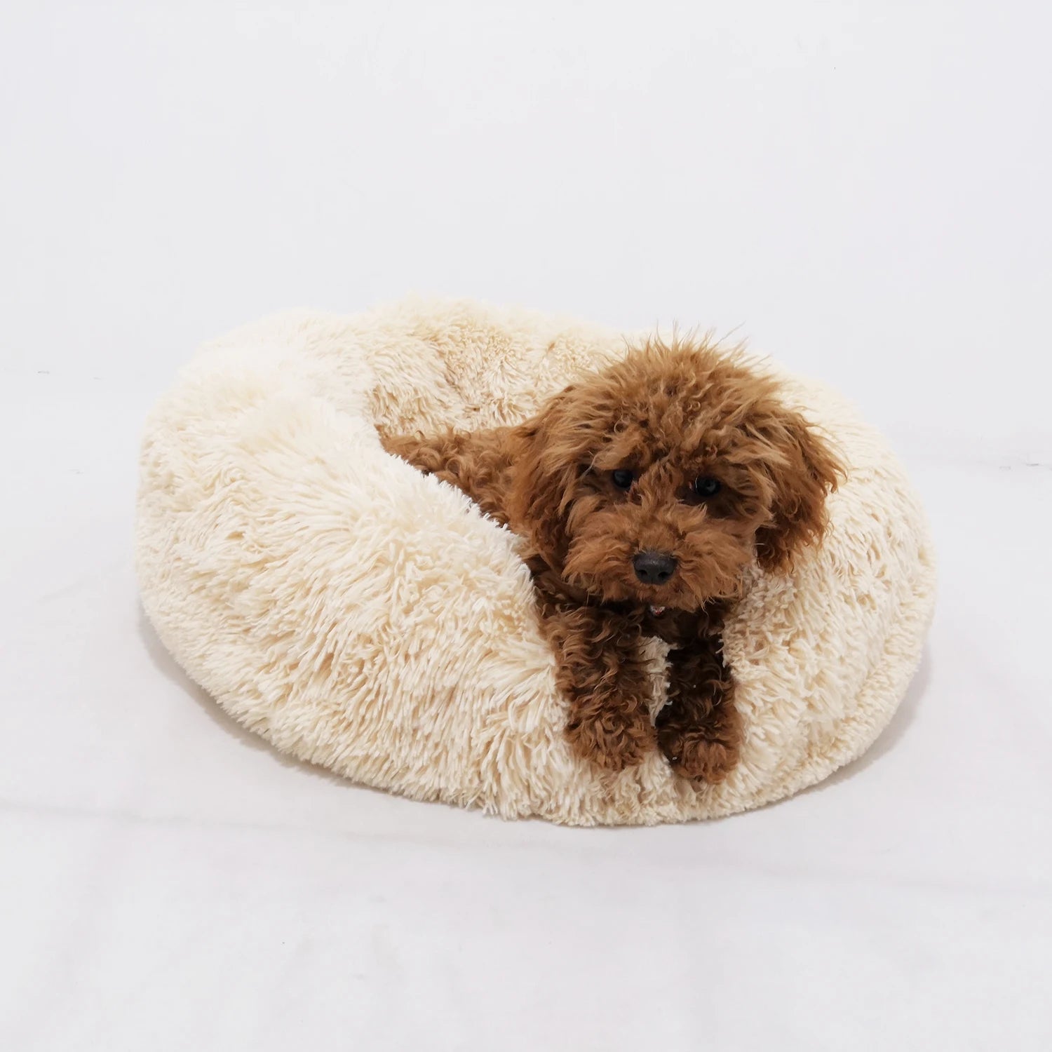Yangyangpet Soft Warming Plush Fabric Dog Pet Bed Cheap Wholesale Donut Bed with Solid Pattern Calming for Dogs