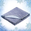 2021 Hot Sale in High Quality Cooling Blankets Japanese Q-max Summer Bedding Set