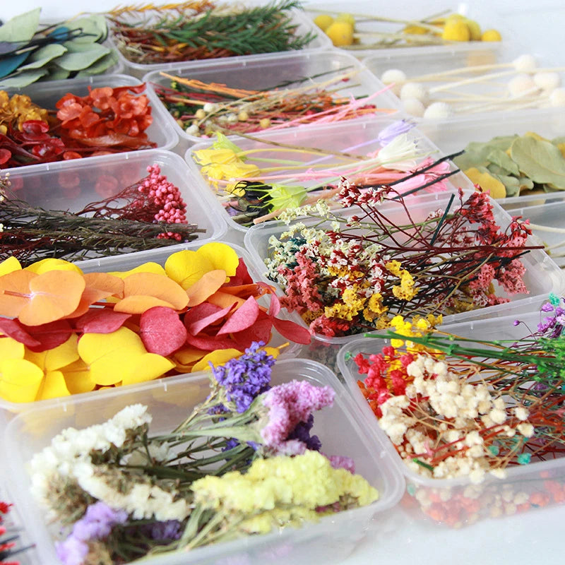 X166 New Arrival Immortal Flower Material Package Handmade Scented Candles Decoration for Graduation Mother's Day Christmas DIY