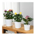 Garden Durable Round Clear White Grey Green Tray Plastic Plant Planters Flower Pot