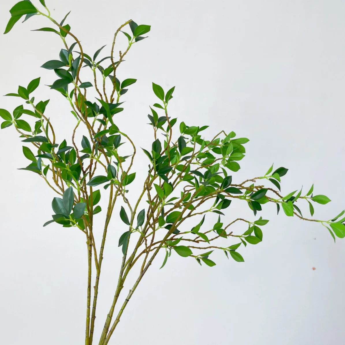 Artificial Real Touch Ficus Leaf Stem Branch Leaves Long Greenery for Wedding Party Home Table Decoration