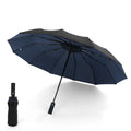 Double Layer 12 Ribs Folding Auto Open Travel Mens Rain Sunny and Rainy Umbrella Windproof Fiberglass Ribs Folding Umbrella