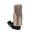 TAKSTAR Condenser Microphone for Live Singing Recording Podcasting Professional Recording Microphone XLR Connector with